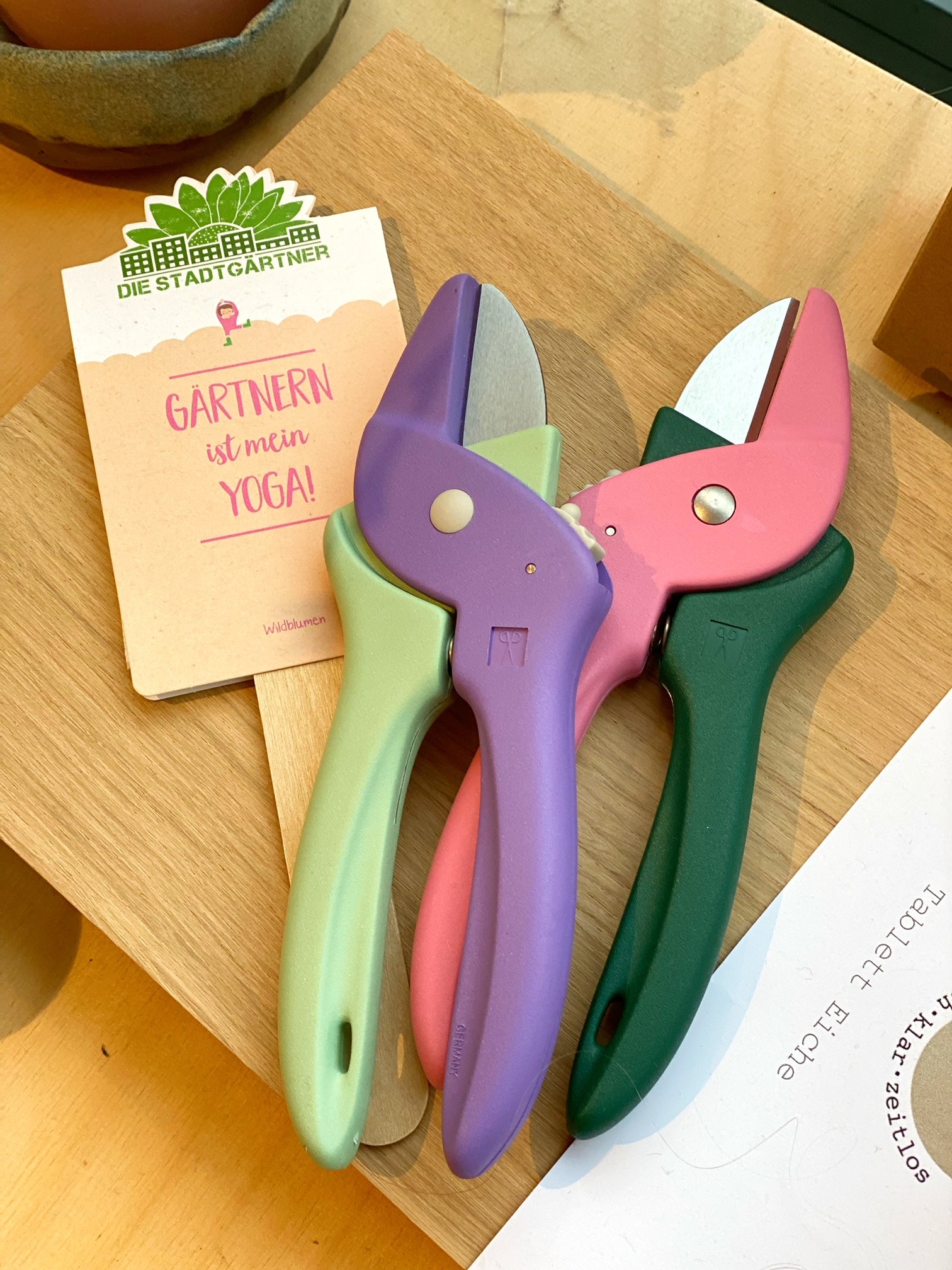 3 bunte Blumenscheren vor Sukkulente